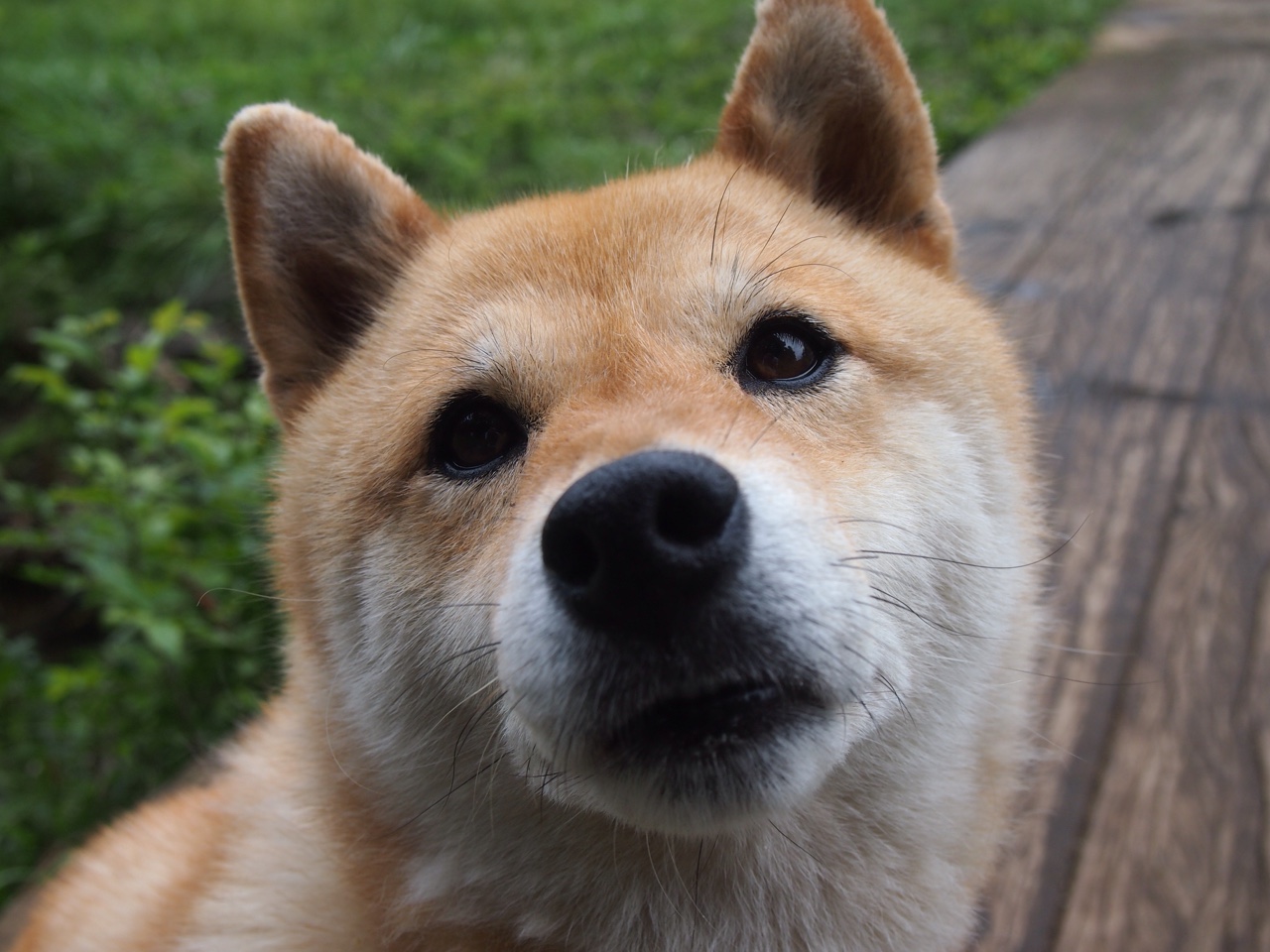 开云官网APP下载-Cosplay大赛同步举行，谁是最佳游戏角色扮演者？，cosplay角色扮演的服装