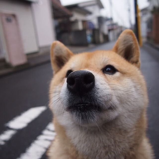 “深度战术分析:联盟中最具创新的打法”,联盟创新案例