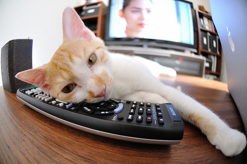 【规则制定】联盟未来可能推出的新规大揭秘,联盟规则大全