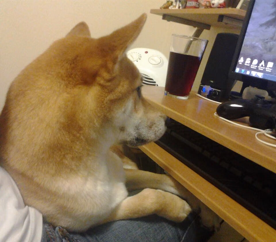 传奇再续:足球明星的“退役人生”分享,足球球员退役视频