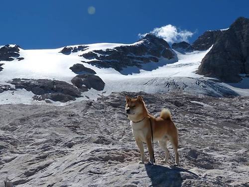 开云网页版-欧冠足球文化：跨越国界的欢聚盛典，欧冠足球干货