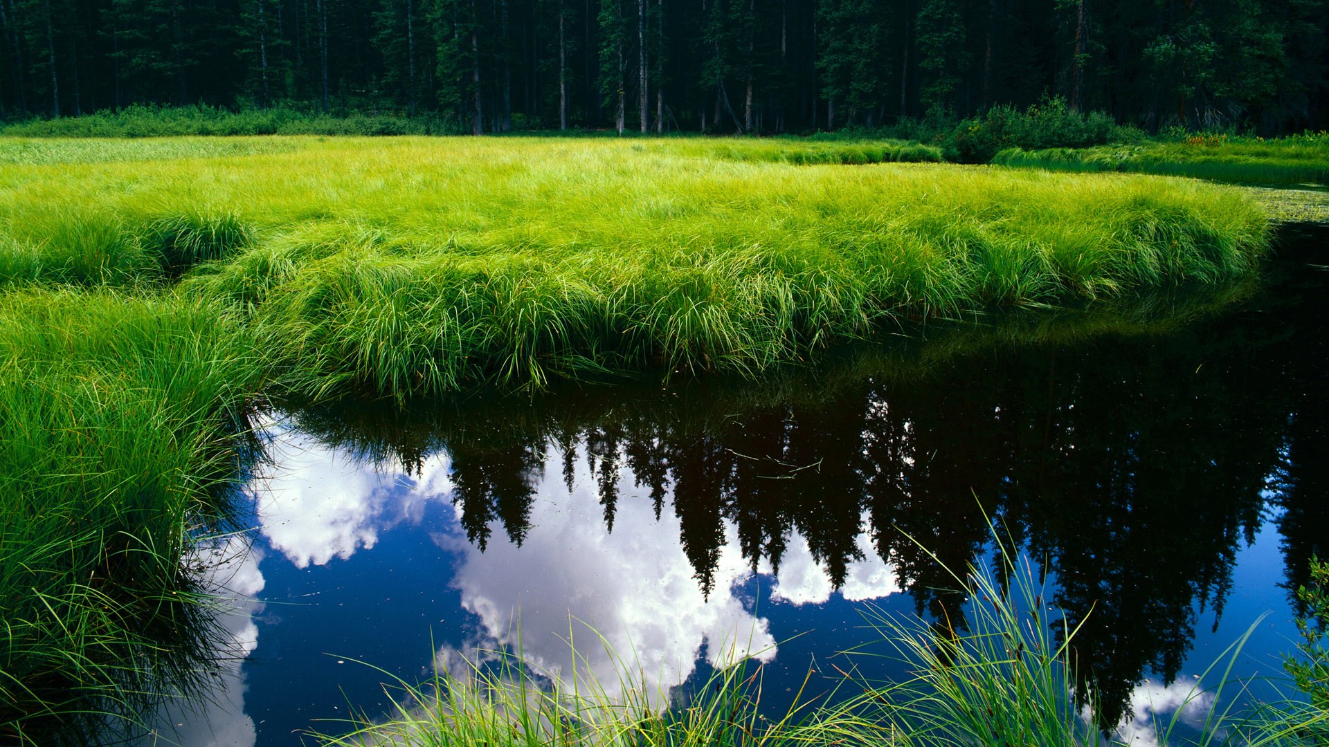 克罗地亚客场胜挪威,步入稳定发挥期,克罗地亚大胜