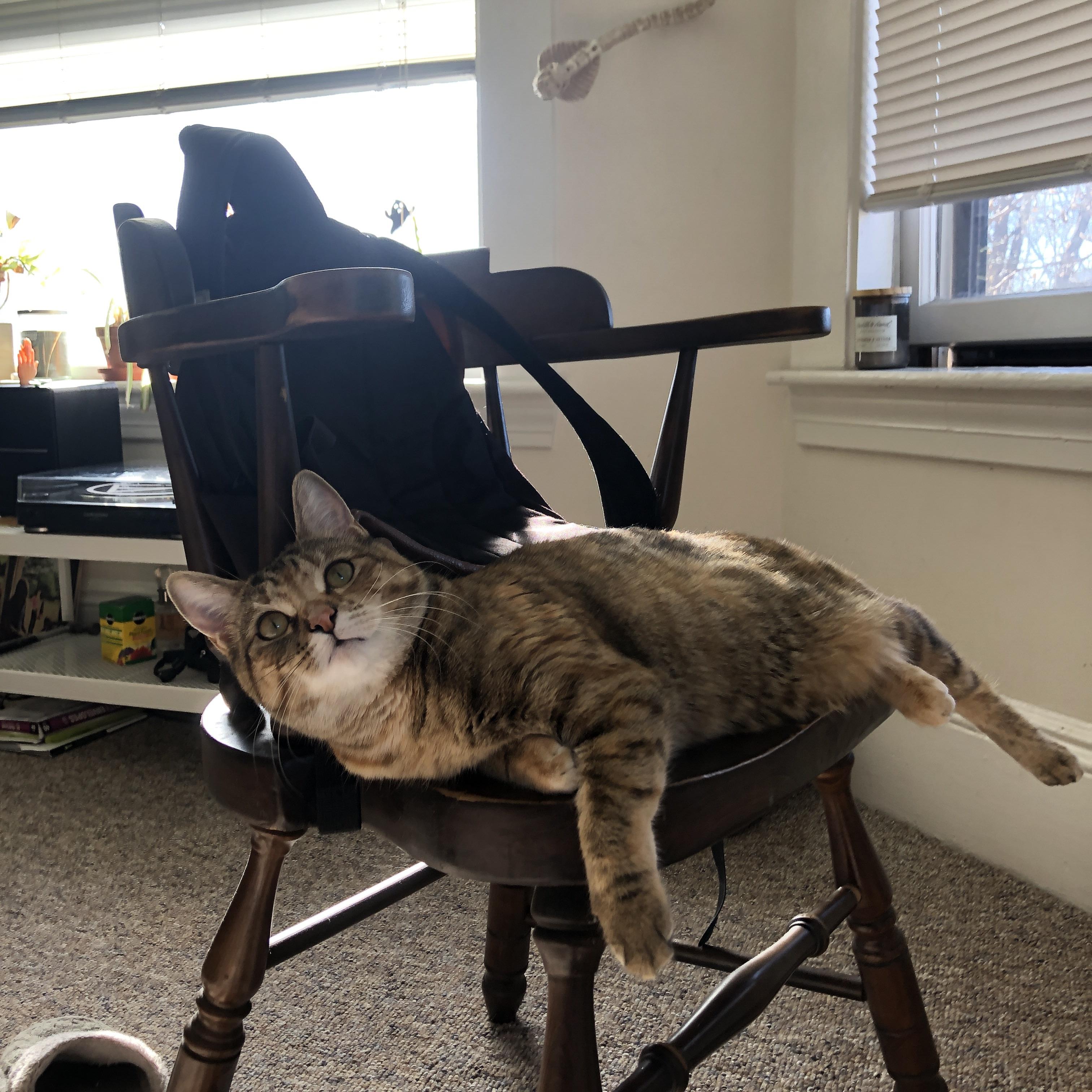 太阳完封独行侠,常规赛巅峰对决中杜兰特双手暴扣点燃全场,杜兰特33分篮网轻取太阳