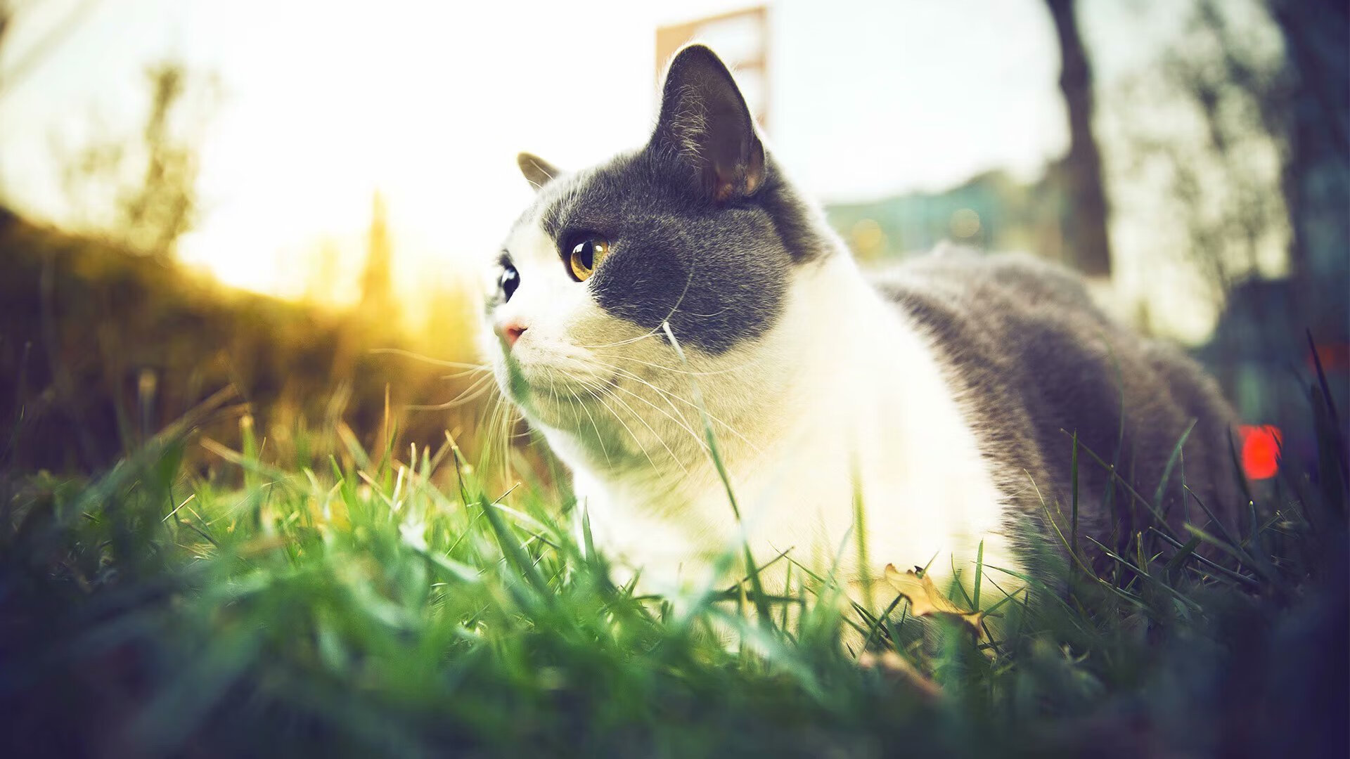 梅西连续两场破门,巴萨客场击败对手,梅西两传 巴萨2-2遭绝平