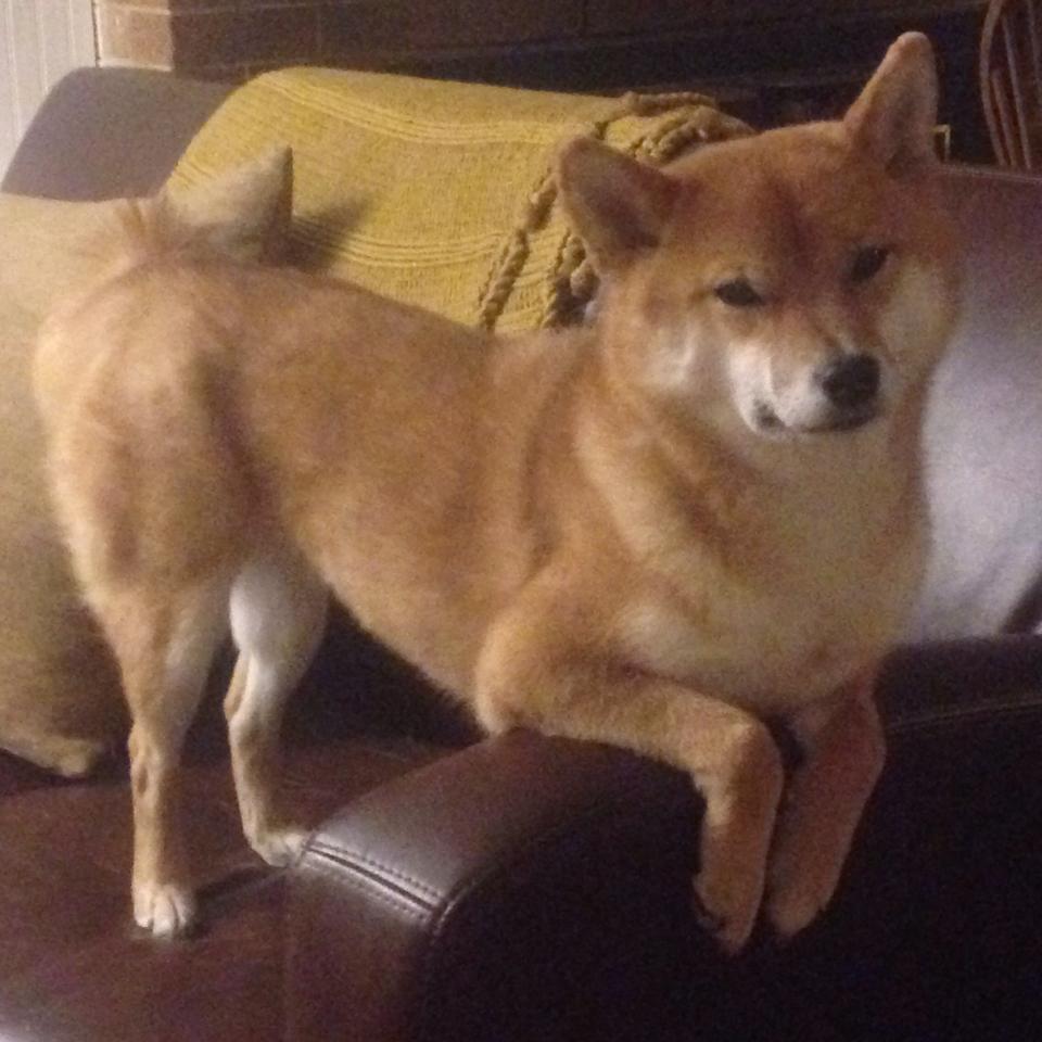 开云网站-观众热捧选手风采，活动人气高涨，观众热捧选手风采,活动人气高涨怎么形容