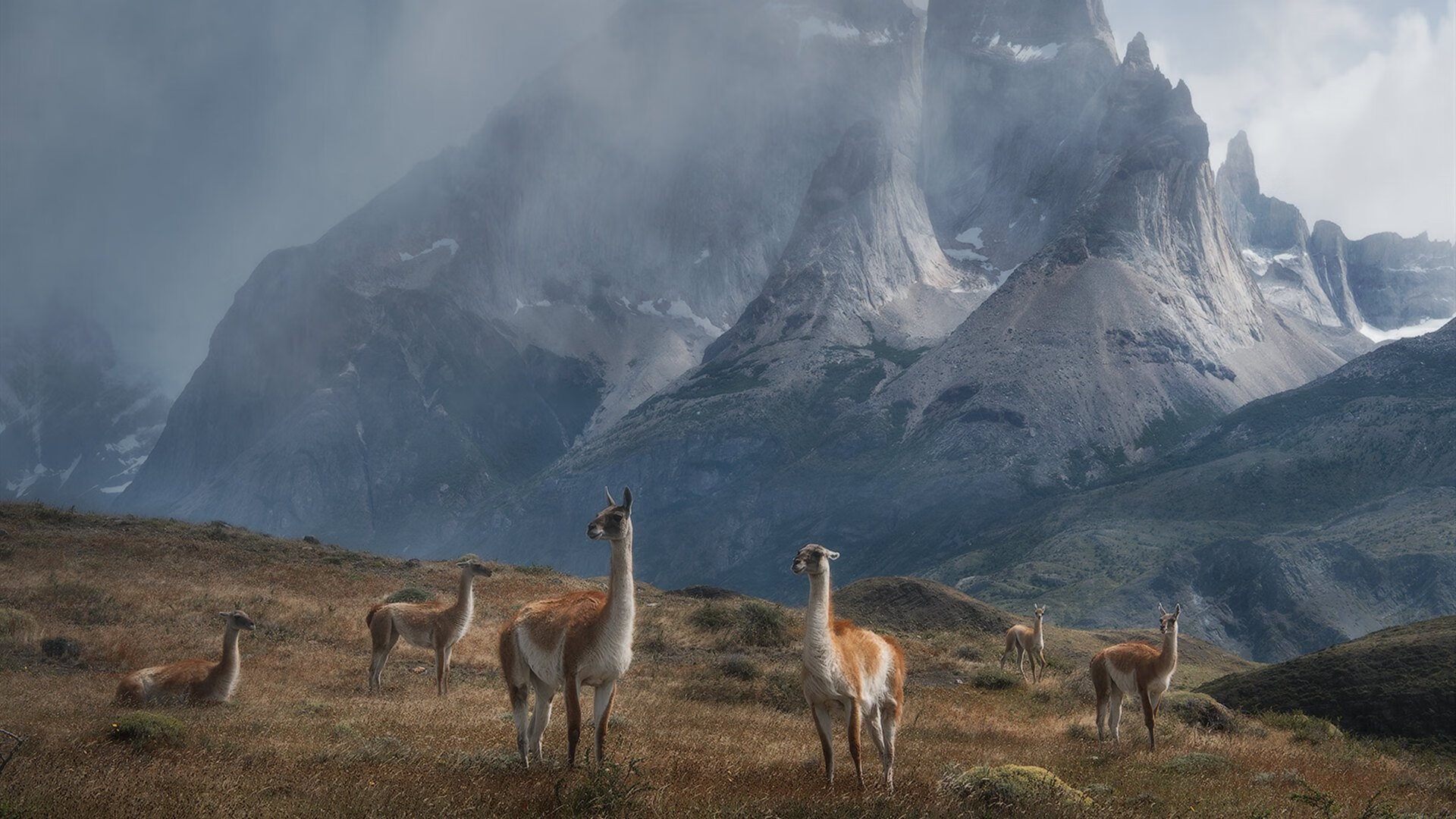 巴西马术队在巴黎奥运会三项赛团体决赛中获得银牌，展现出色表现。