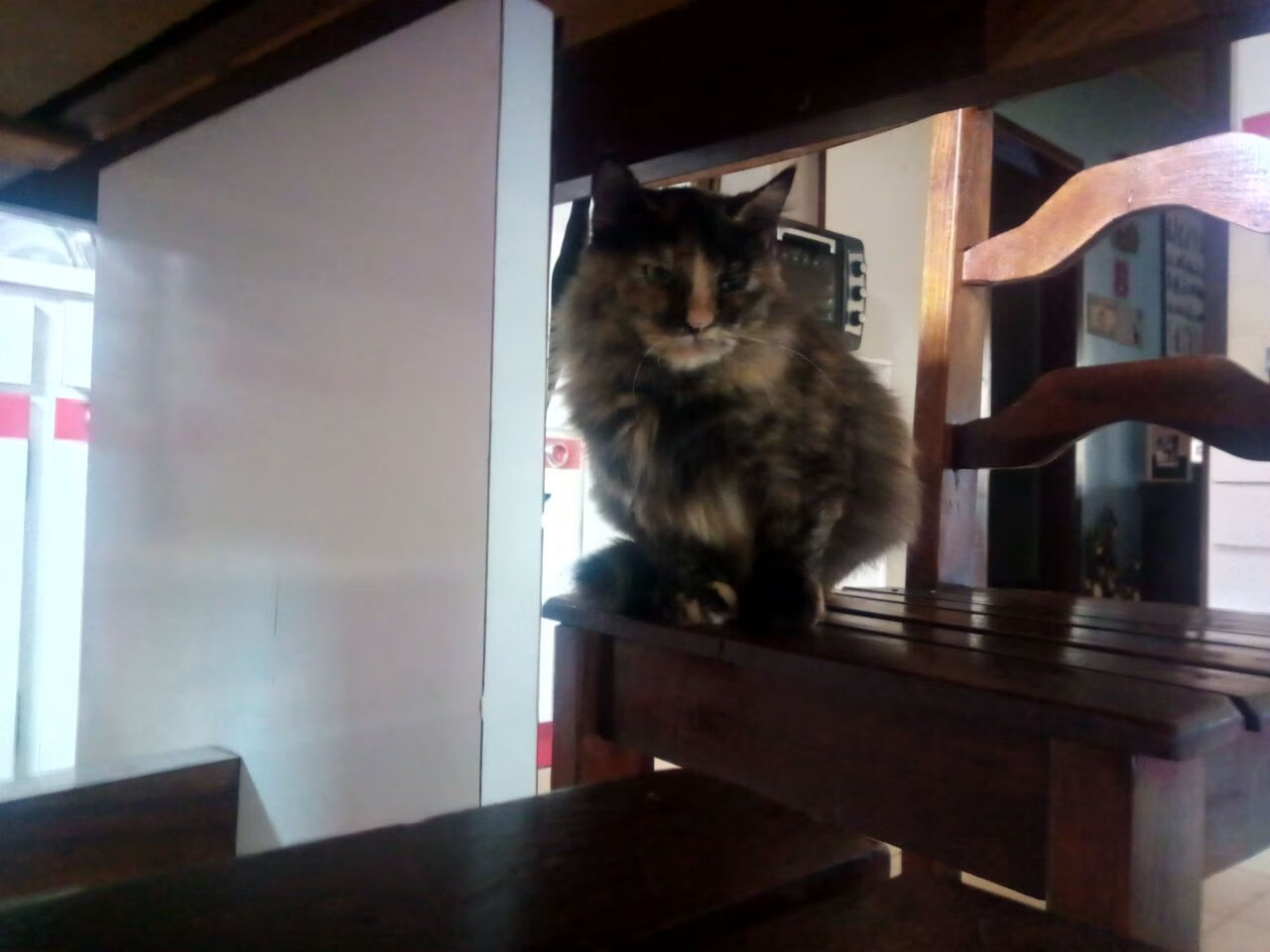 523.健身科技:运动员如何利用穿戴设备达成最优状态,运动员必须穿戴大会指定的