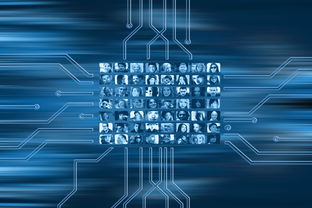 开云kaiyun-NBA联盟市场营销策略的数字化转型，nba营销策略分析论文