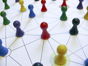 开云中国-中国篮球教练员领导力培养路径，中国篮球协会篮球教练员等级