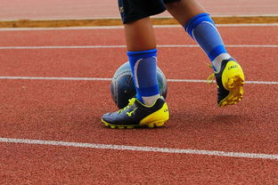 kaiyun体育app-中国青少年篮球运动员身体机能发展研究，我国篮球青少年运动发展现状