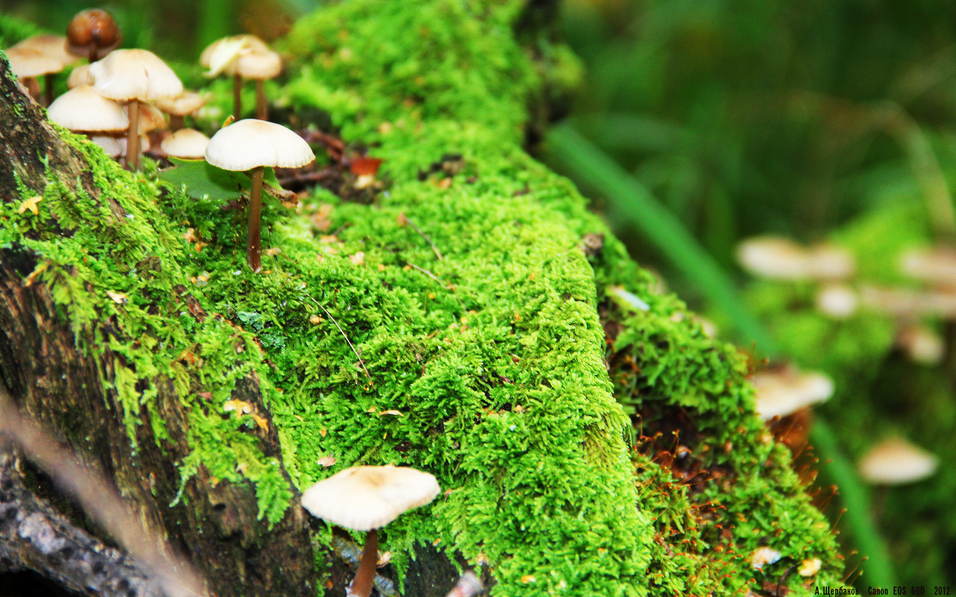 kaiyun官方入口登录-体育赛事对城市公共服务系统的压力评估，体育赛事对城市经济的影响