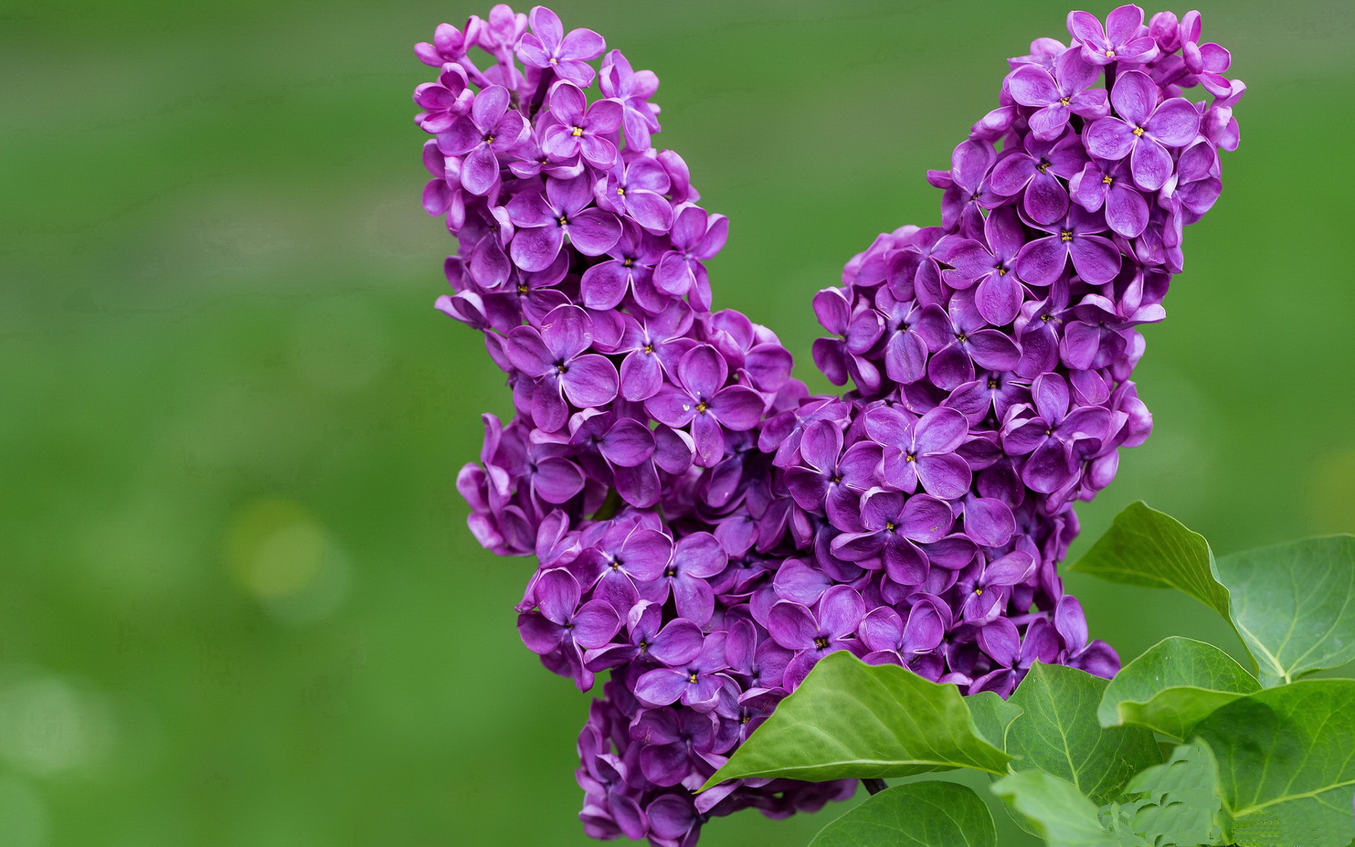 全国青少年篮球联赛上海站精彩纷呈,全国青少年篮球邀请赛