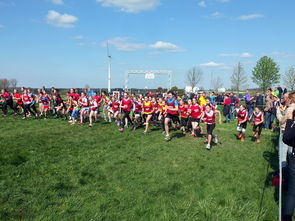 开云官网APP下载-青少年体育运动社会支持系统研究，青少年体育运动社会支持系统研究现状