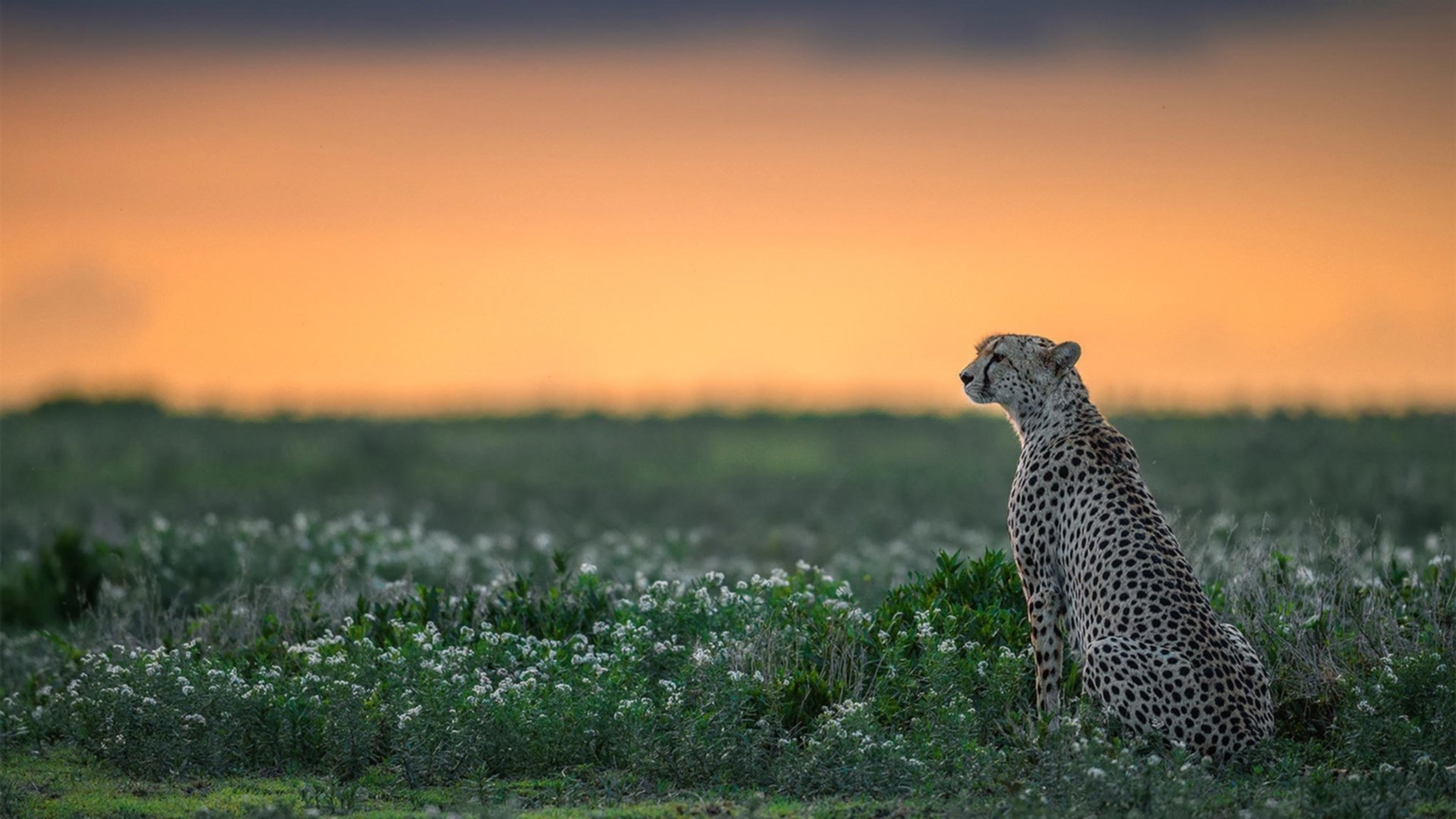 开云中国大陆-中超联赛中国青年队爆冷 球迷反思青训体系，中超青年csly