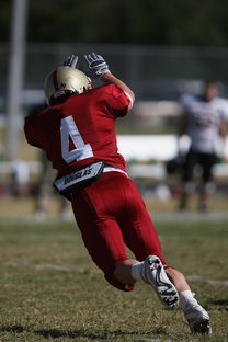 开云体育APP下载-五大联赛是否在中场搭配中加入更多防守倾向球员，五大联赛最强中场