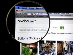 开云中国-体育新闻中心发布体育短视频传播效果白皮书，体育短视频成为平台和用户的新宠