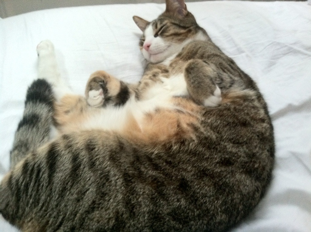 Kaiyun官方登录入口-前半程澳女队领先 中队后程反扑