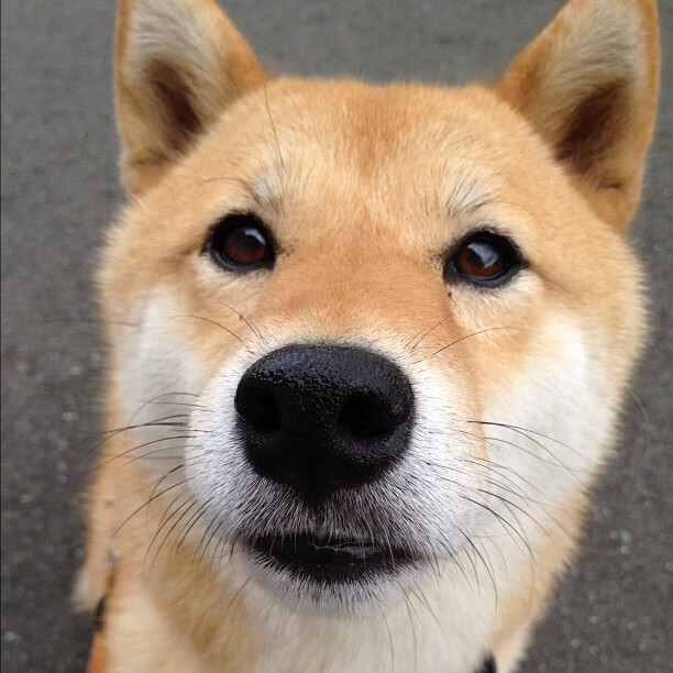 国家体育总局与高校联合共建人才培养基地,高校体育人才培养创新发展