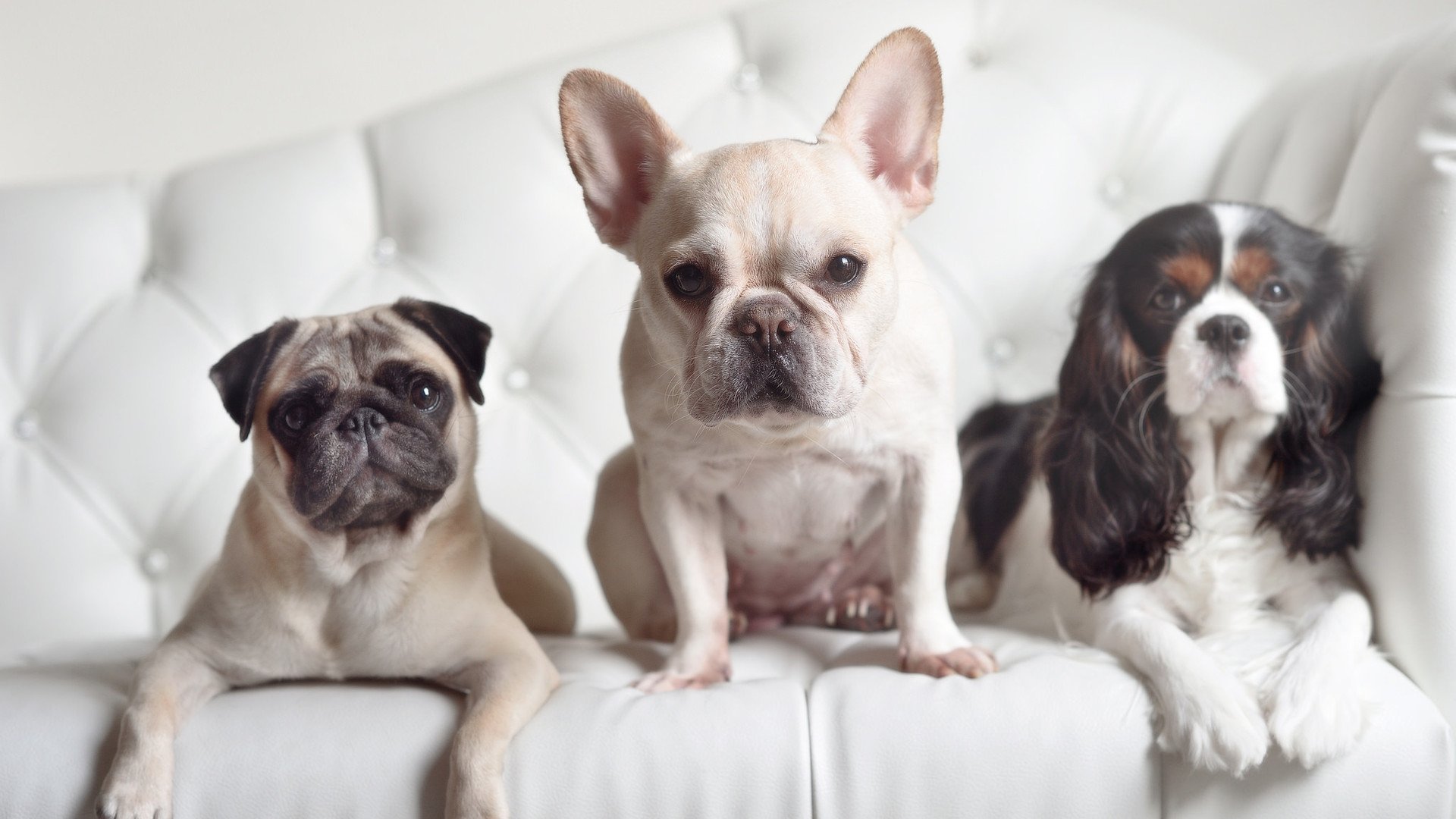 国际热身赛国家队复仇 球迷情绪爆发,国家队热身运动