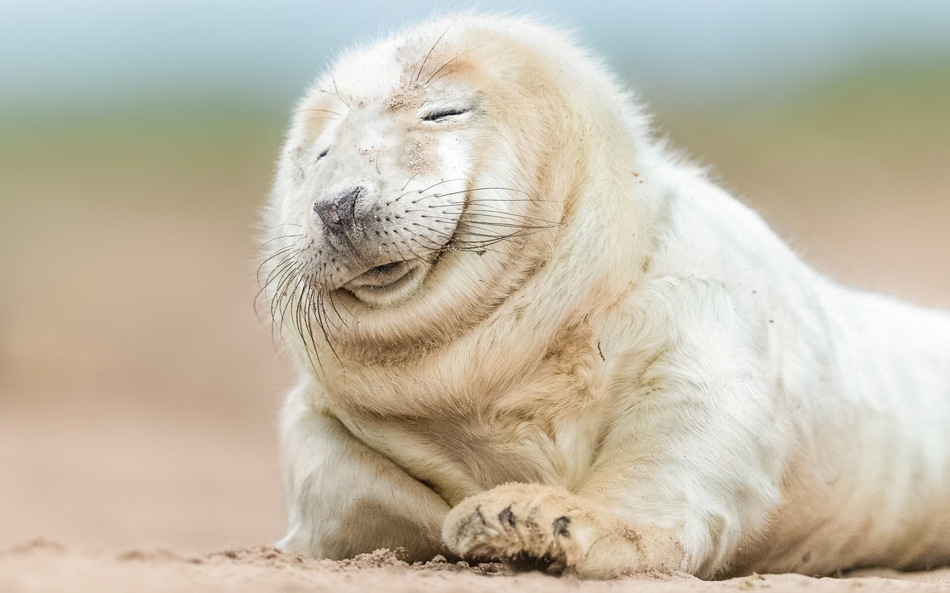 中国足球青训基地训练环境设施全面升级，中国足球青训学校排名