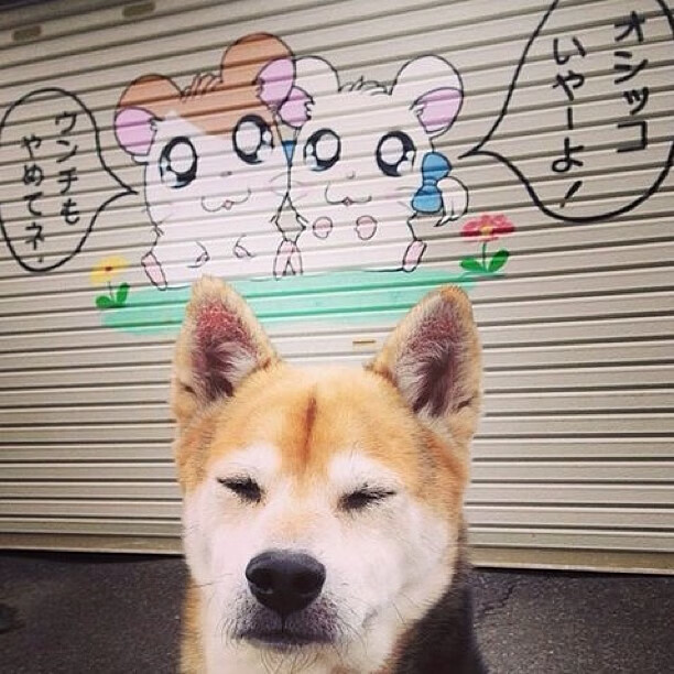 KAIYUNAPP-体育创业项目展示青年创客积极参与，体育创新创业大赛优秀作品