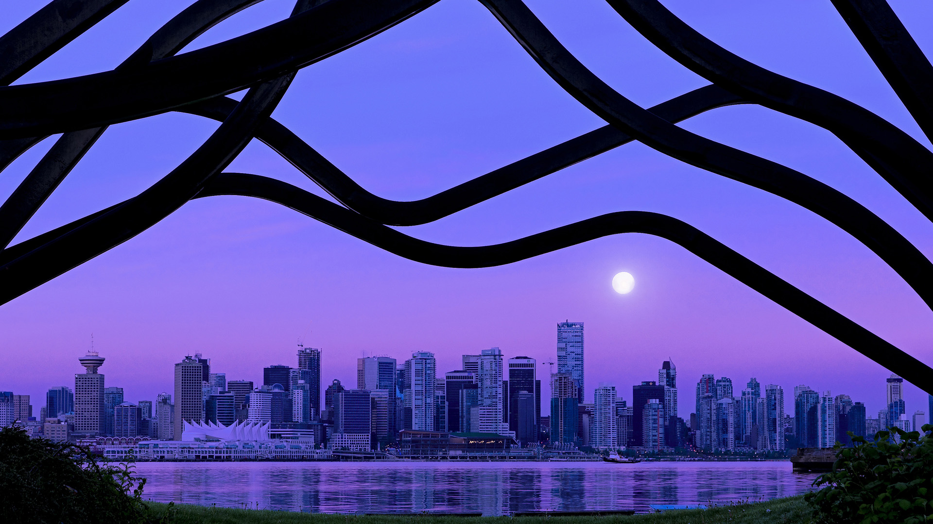 kaiyun.com-冠军教练战术书出版，成为教练圈热议读物，冠军级教练的四种能力