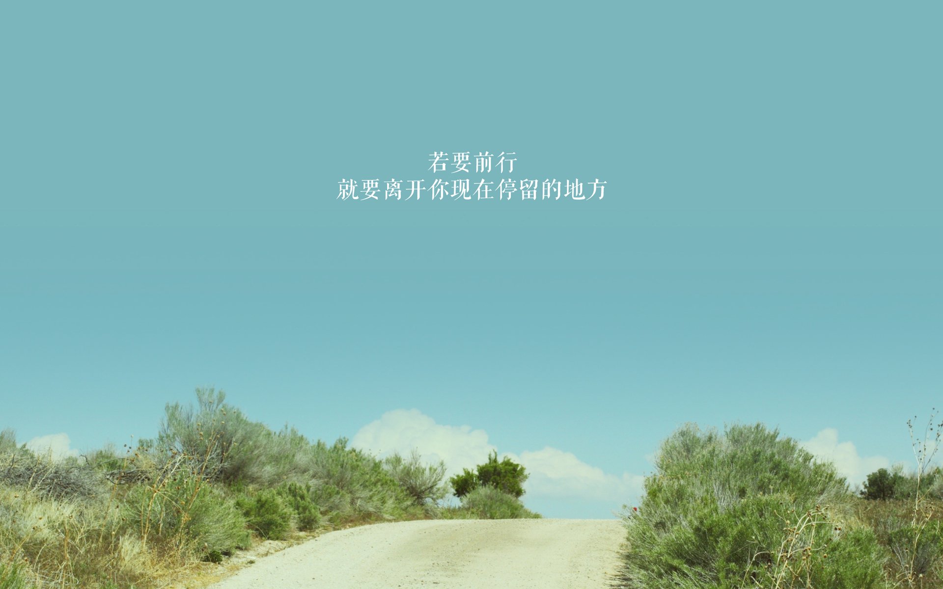 开云网站-巴勒斯坦男篮在西亚锦标赛中奋勇争冠，体育水平持续提升