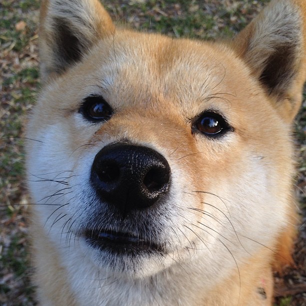 kaiyun登录入口-美洲杯暗藏惊喜：神技瞬间成为谈资，美洲杯揭幕战准98db in