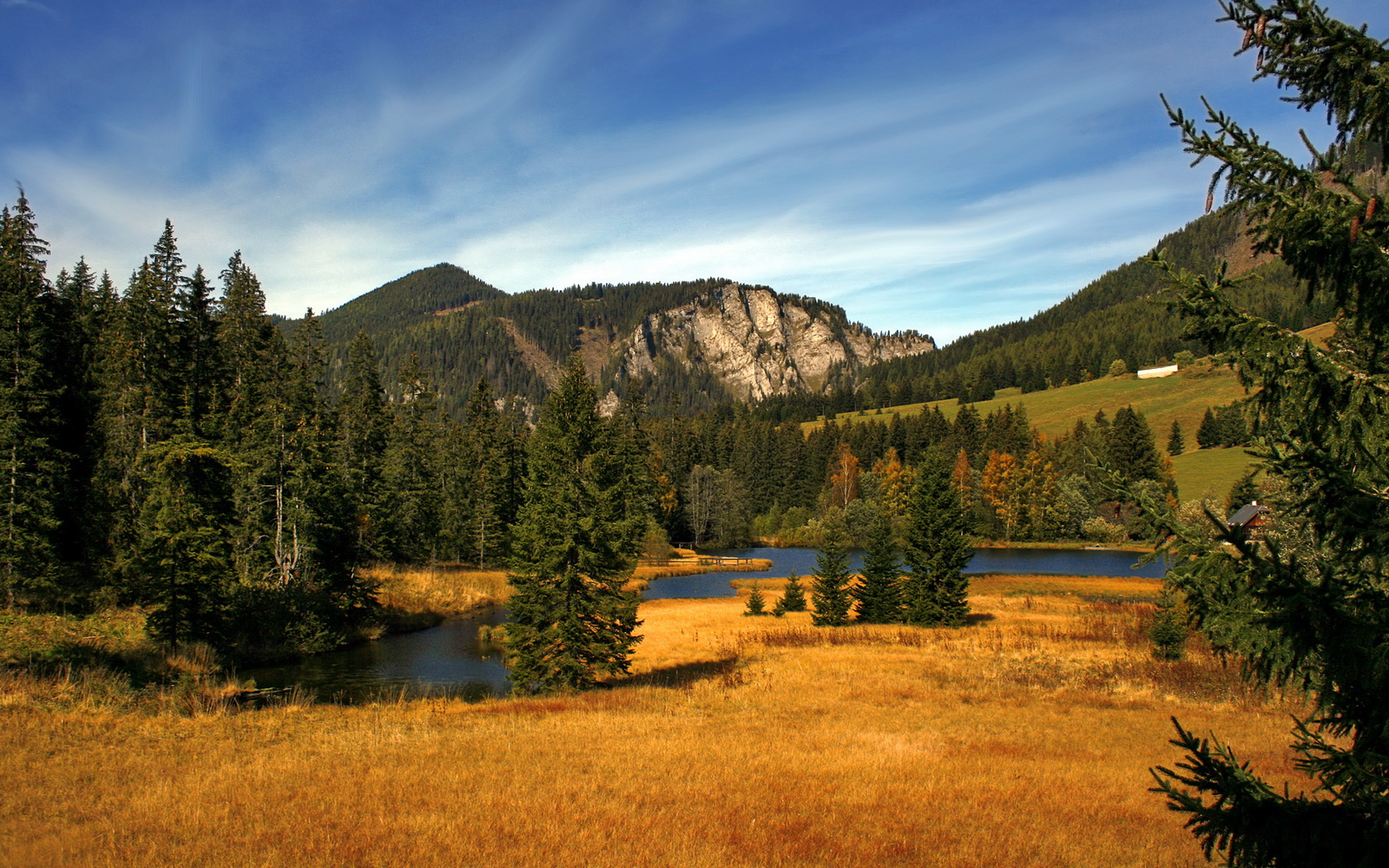 美洲杯主场优势与夺冠关系研究，美洲杯总结